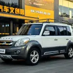 Great Wall Great Wall M2 2012 из Китая