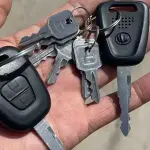New Longma 启腾N50 2023 из Китая