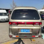 Fengxing Lingzhi 2017 из Китая