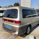 Fengxing Lingzhi 2017 из Китая
