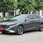 Changan Ruicheng PLUS 2023 из Китая