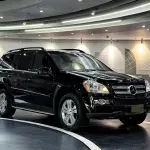 Mercedes-Benz GL-Class 2009 из Китая
